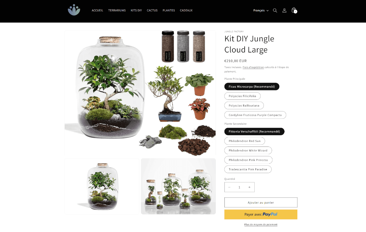 Terrariums & créations