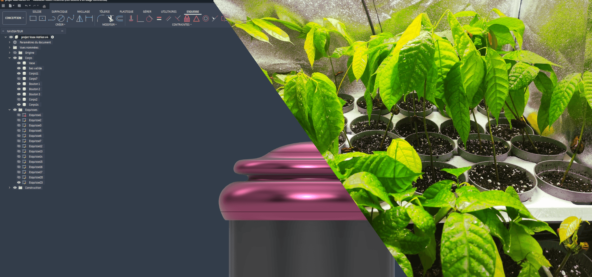 Hero Jungle Incubator